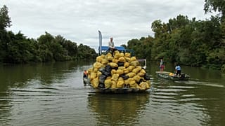 Gemeinsam gegen Plastikmüll: vermeiden, vermindern, wiederverwenden, recyceln
