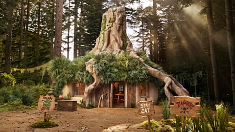 Home sweet home: Up to three guests will get the chance to spend two nights in Shrek's swampy abode.