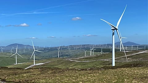 Ireland's wind power success shows the potential for the country to decarbonise. 