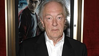 Актер Майкл Гэмбон на премьере фильма «Гарри Поттер и Принц-полукровка» в Нью-Йорке в четверг, 9 июля 2009 года.