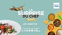 La Surprise du Chef
