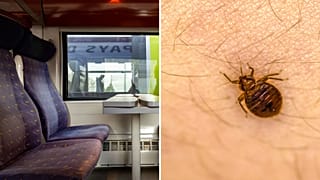 Les punaises de lit aperçues dans les trains français ont semé la panique sur les réseaux sociaux, alors que Paris demande instamment que des mesures soient prises avant les Jeux olympiques.