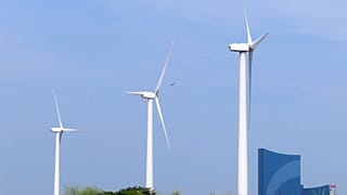 İrlanda'nın modern tarihinde ilk kez rüzgar enerjisinden elde ettiği elektrik miktarı ülkenin sarfiyatından daha fazla oldu.