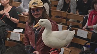 В праздник святого Франциска благословляют домашних питомцев - животных и птиц