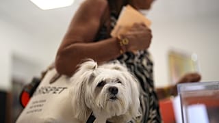 A woman carries her pet in a bag as she votes at a polling station in Madrid, Spain, July 23, 2023.