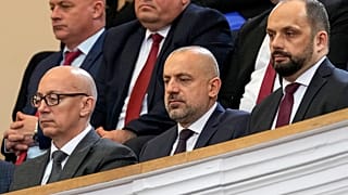 Μίλαν Ραντόιτσιτς