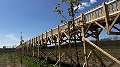Az elhíresült, uniós támogatásból megépült nyírmártonfalvai, lombok nélküli lombkoronasétány