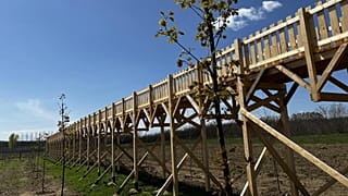 Az elhíresült, uniós támogatásból megépült nyírmártonfalvai, lombok nélküli lombkoronasétány