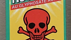 Il Roundup, diserbante di punta della Bayer, è prodotto grazie al glifosato