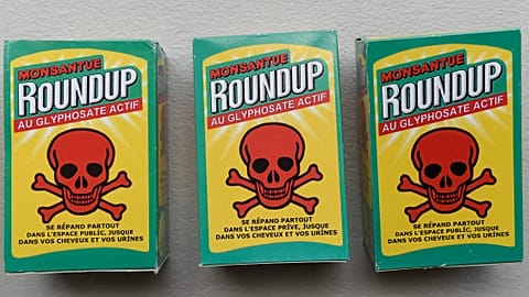  A fake bottle of Roundup herbicide is displayed at a demonstration in support of Mayor Daniel Cueff, who is being prosecuted for banning pesticides in Rennes.