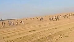 Çölde düzenlenen ve Hamas'ın bastığı parti