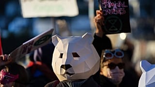 A környezetvédők szerint az óceánjárók nagy mértékben szennyezik a sarkvidékek élővilágát
