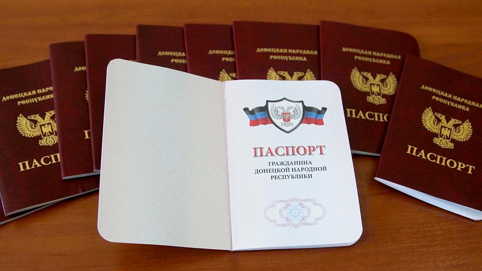Ukrayna'da verilen Rus pasaportları (arşiv)
