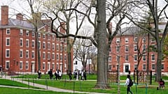  Harvard Universitesi