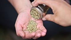Menschen teilen Marihuana während des "Cannabis at the park"-Festivals in Bogota, Kolumbien, am 7\. Oktober 2023\. 