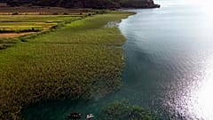 Ufer des Ohrid-Sees an der Grenze zwischen Albanien und Nordmazedonien.