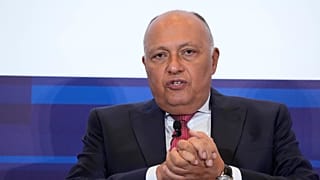 وزير الخارجية المصري سامح شكري