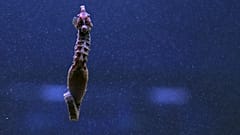 Hippocampus Illustrationsfoto