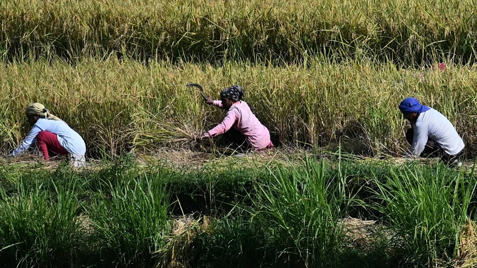 Agricoltura