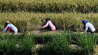 Agricoltura