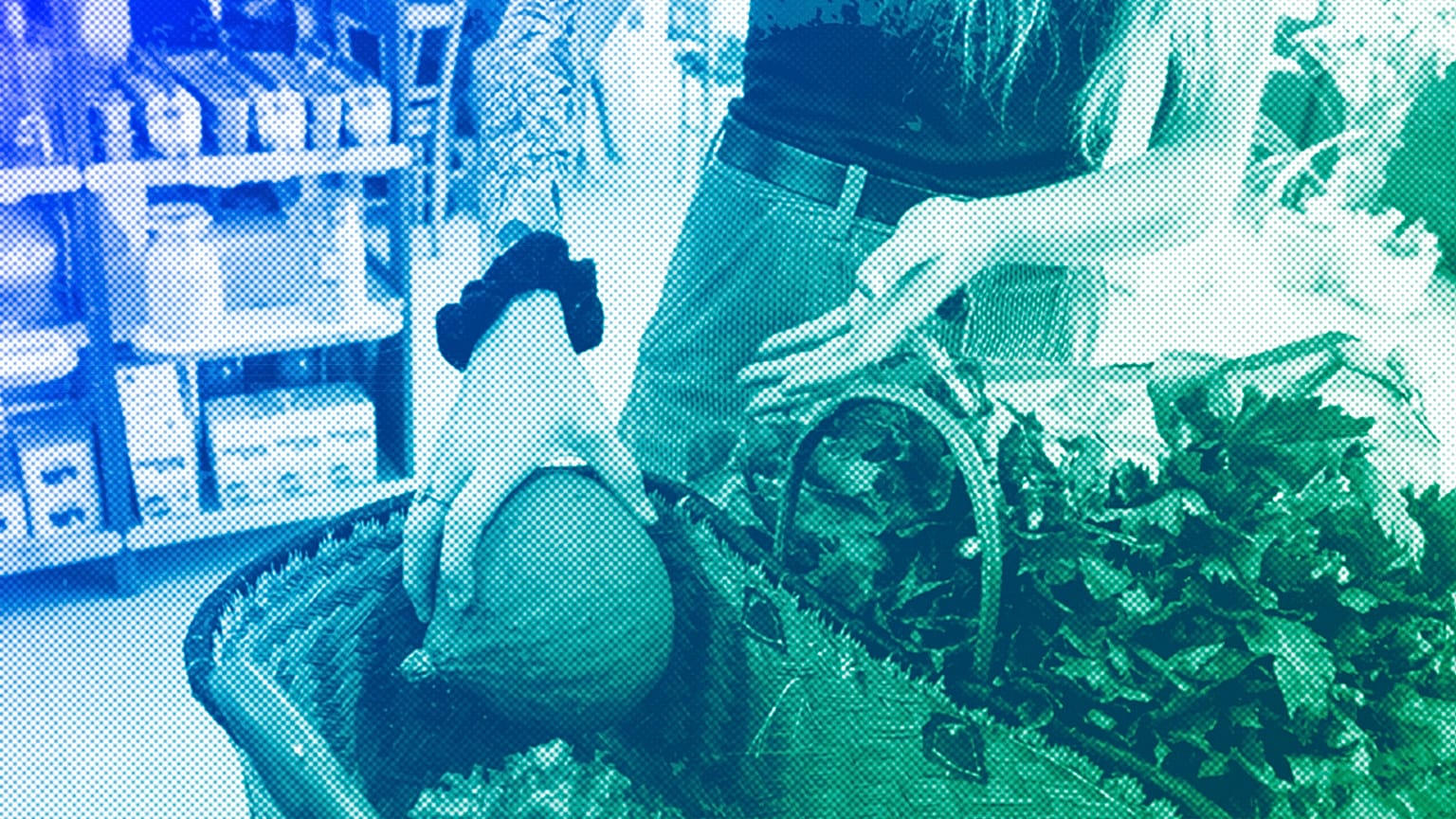 A shopper at the newly opened Maison Engagée et Solidaire de l'Alimentation (MESA In Lyon, October 2022 