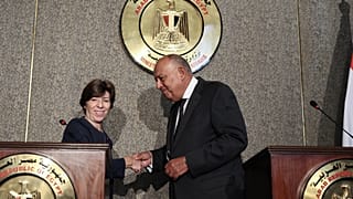 وزيرا خارجية مصر وفرنسا