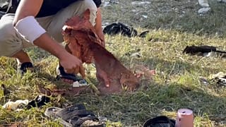 فلسطيني يلتقط أشلاء ضحايا القصف في مستشفى الأهلي. 2023/10/18
