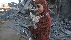 Mädchen mit Katze im Gazastreifen