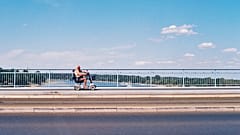 Extreme heat has had disastrous ecological and human consequences. 