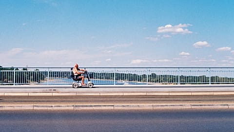 Extreme heat has had disastrous ecological and human consequences. 