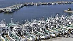 Testes a peixe na província de Fukushima 