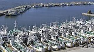 Prefettura di Fukushima