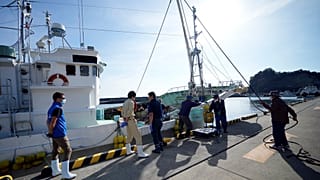 Οι επιστήμονες του ΔΟΑΕ εποπτεύουν αλιεύματα στη Φουκουσίμα