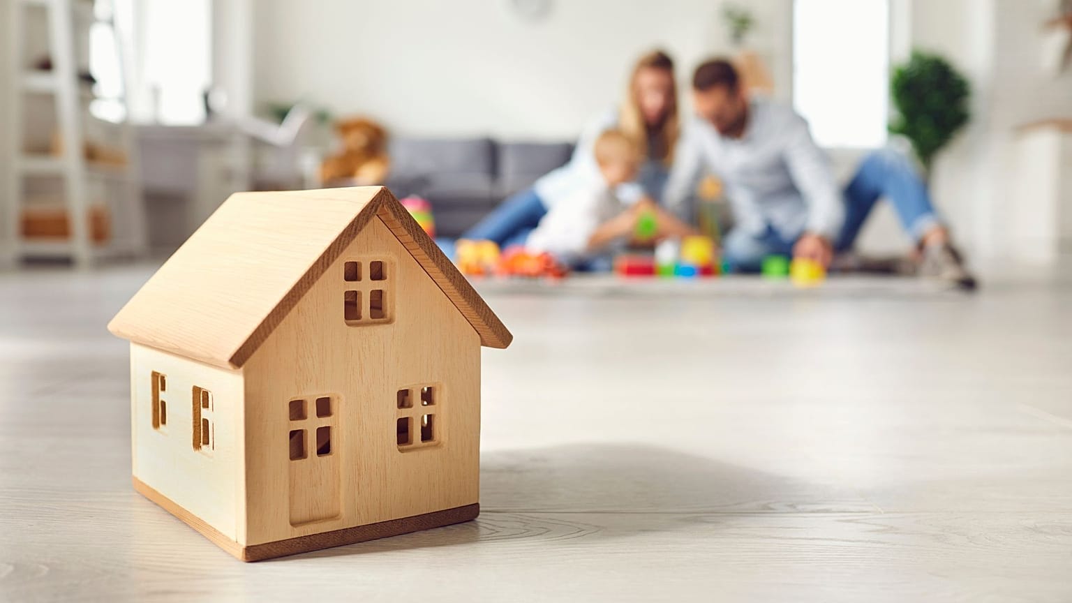 عکس تزیینی است