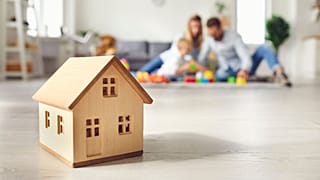 عکس تزیینی است