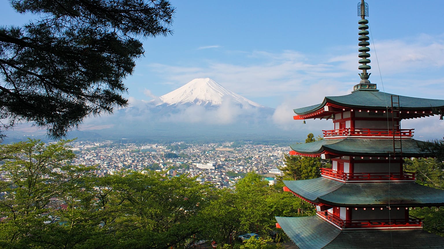 At Mount Fuji, concerns are growing over pollution and safety as human traffic jams clog up the slopes. 