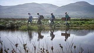 A sósvizű mocsarak segíthetnek a klímaváltozás leküzdésében 