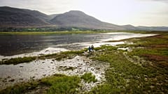 Effektiv im Kampf gegen den Klimawandel: Salzwiesen