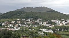 L'area vulcanica dei Campi Flegrei. 