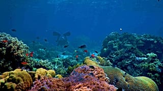 The second edition of the IUCN Leaders Forum brought together over 400 participants to identify solutions to protect and restore nature. 