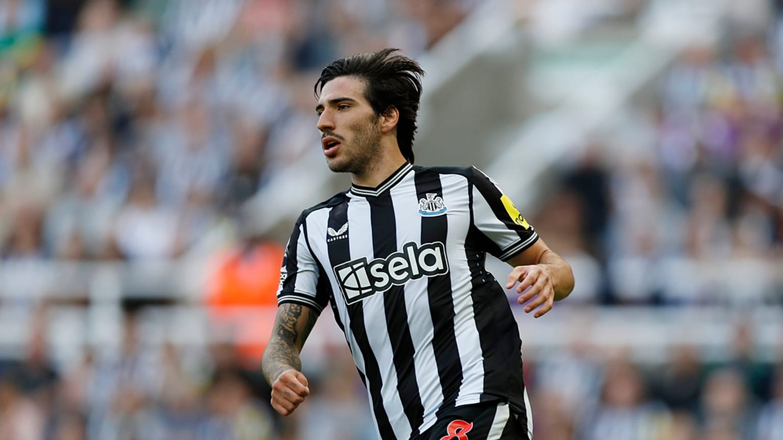 Tonali a Newcastle mezében