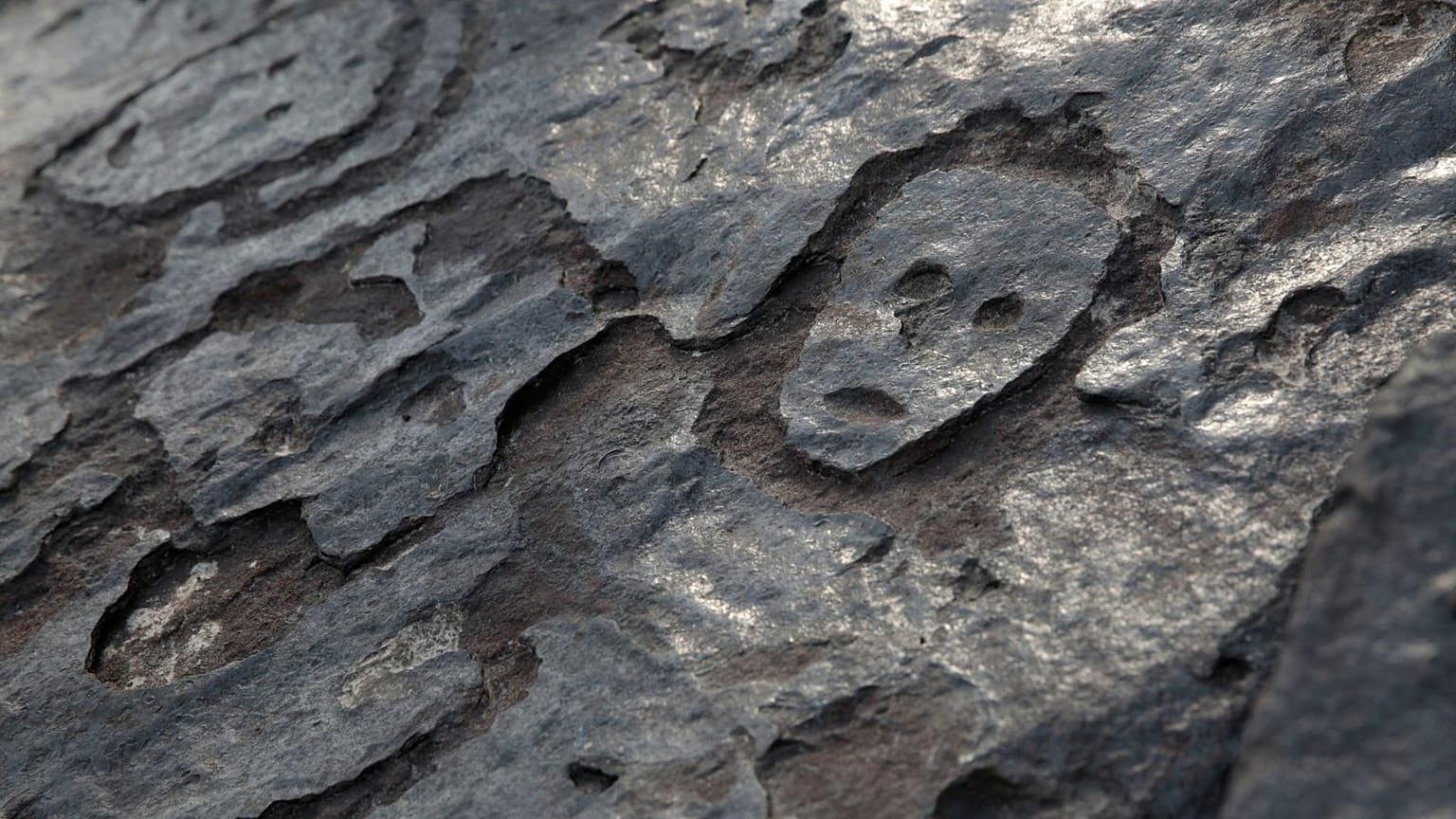 Sculptures anciennes en pierre sur une pointe rocheuse du fleuve Amazone, exposées après que le niveau de l'eau a chuté à un niveau record lors d'une sécheresse à Manaus, dans l'État d'Amazonas, au Brésil.