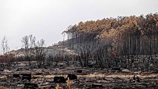 The surroundings of the Lagune beach in La Teste de Buch, Gironde, France, on 25 July 2022