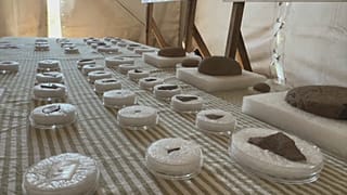 ΟΡΙΣΜΕΝΑ ΑΠΟ ΤΑ ΕΥΡΗΜΑΤΑ