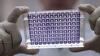 Researchers in Brazil are developing a vaccine to treat addiction to cocaine and its powerful derivative, crack.