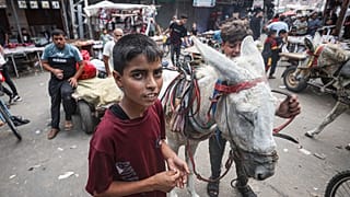 People use horse drawn carriage instead of cars as Israel blocks the entrance of fuel in Khan Yunis, Gaza on Saturday