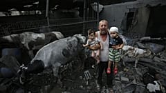 A man holds wounded children near livestock animals around the heavily damaged buildings after Israeli attacks at Nuseirat Refugee Camp on Sunday