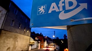 Предвыборный плакат AfD под Франкфуртом в преддверии выборов 8 октября.