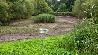 Nyugat-Európában egyre többen szeretnék, ha a természetben lenne a végső nyughelyük - képünk illusztráció