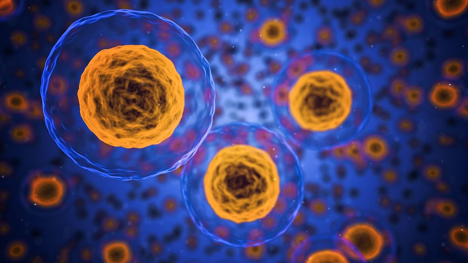 New cancer therapy using antibody could offer a less toxic treatment option